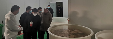 http://www.shlto.cn/data/upload/202012/20201223121658_623.png